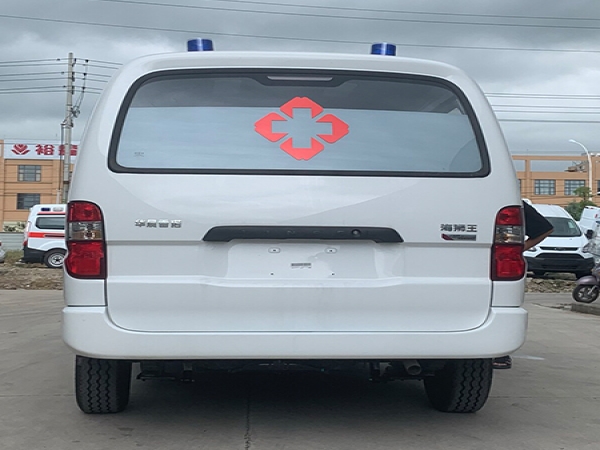 金杯海獅王救護車